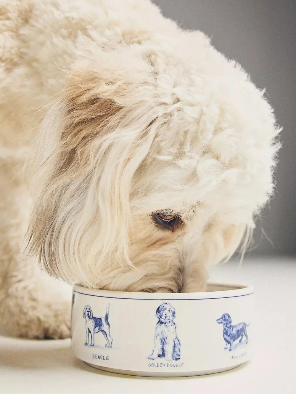 Anthropologie Blue and White Illustrated Dog Ceramic Bowl
